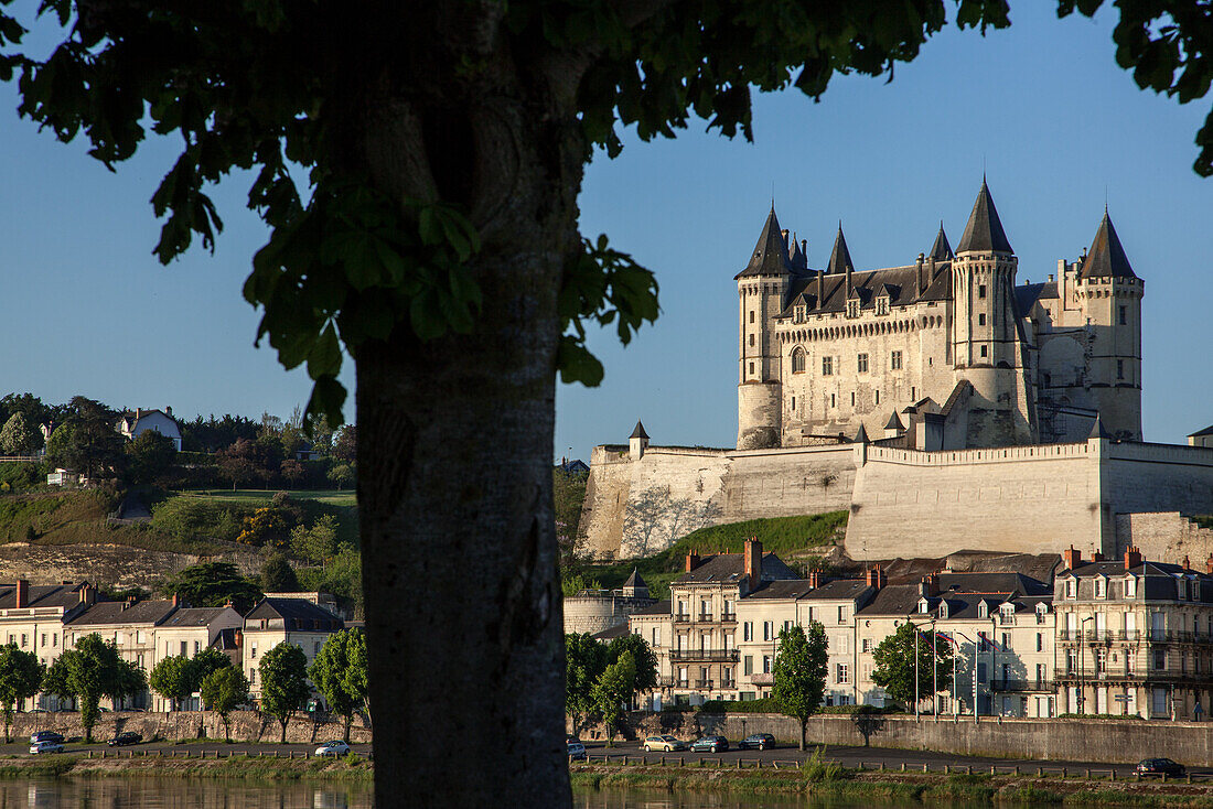 Chateau De Saumur, Medieval Fortress Become The Palace And Residence Of The Counts Of Anjou, Maine-Et-Loire (49), France