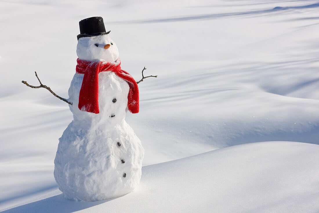 Snowman With A Red Scarf And Black Top Hat Sitting Next To A Snow Covered River Bed, Southcentral Alaska, Winter