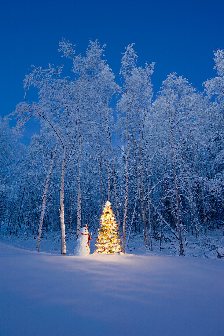 Snowman With Red Scarf And Black Top Hat Standing Next To A Christmas Tree, Snow Covered Birch Forest, Winter, Eagle River, Alaska, Usa.