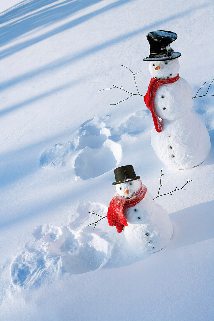 Snowmen In Forest After Making Snow Angel Imprint In Snow Alaska Winter