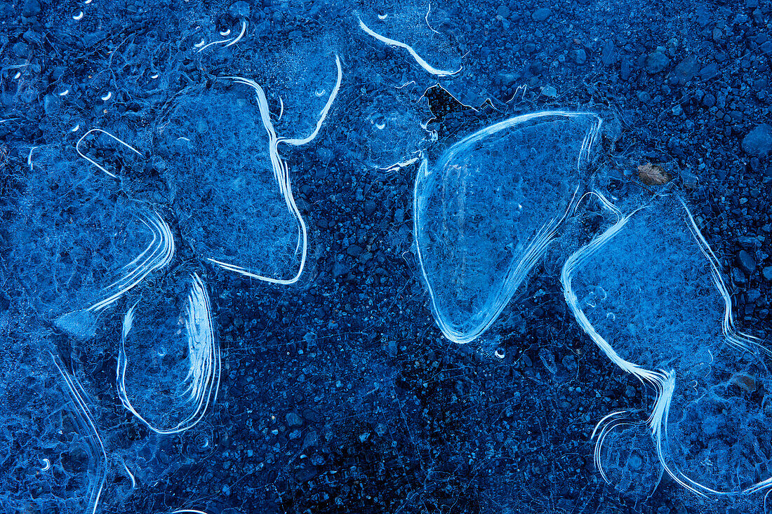 Macro Of Ice Forming Along The Shoreline Of Mendenhall Lake Near Juneau, Tongass National Forest, Southeast Alaska, Autumn