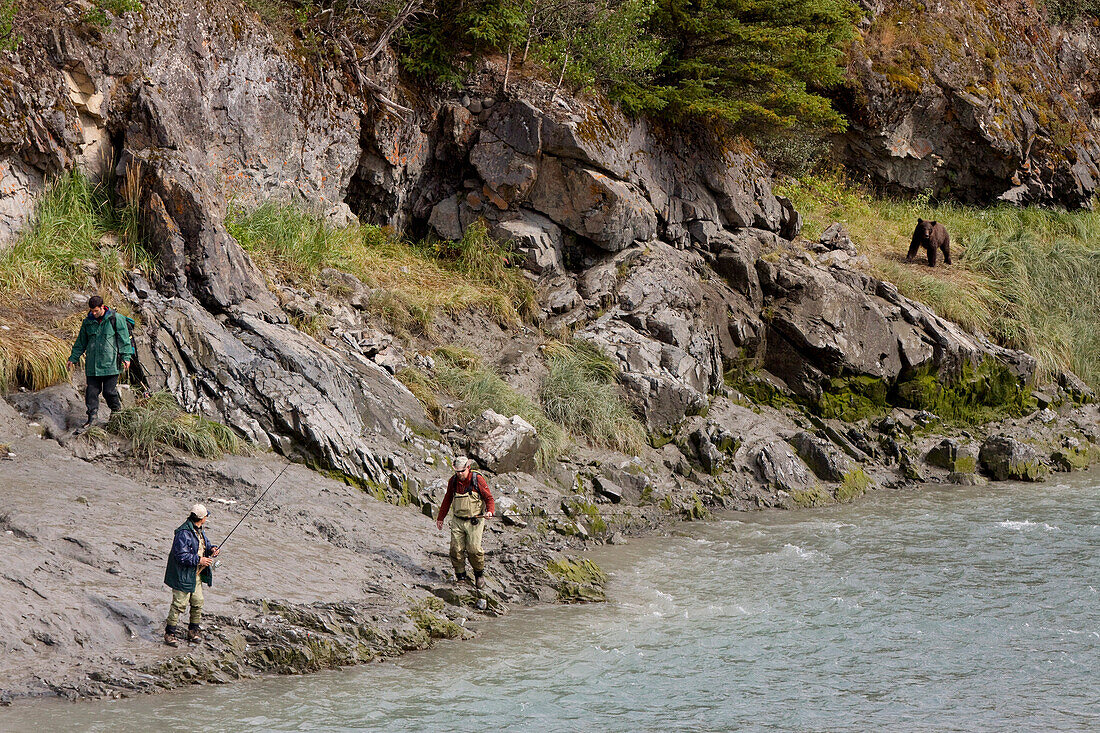 Three Fisherman Leave The Shores Of Bird Creek As A Brown Bear Approaches Along The Shoreline, Southcentral Alaska