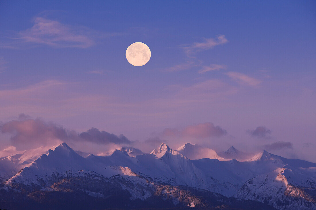 A Full Moon Sets Over The Chilkat Mountains And Lynn Canal At Sunrise Overlooking Lynn Canal, Inside Passage, Alaska
