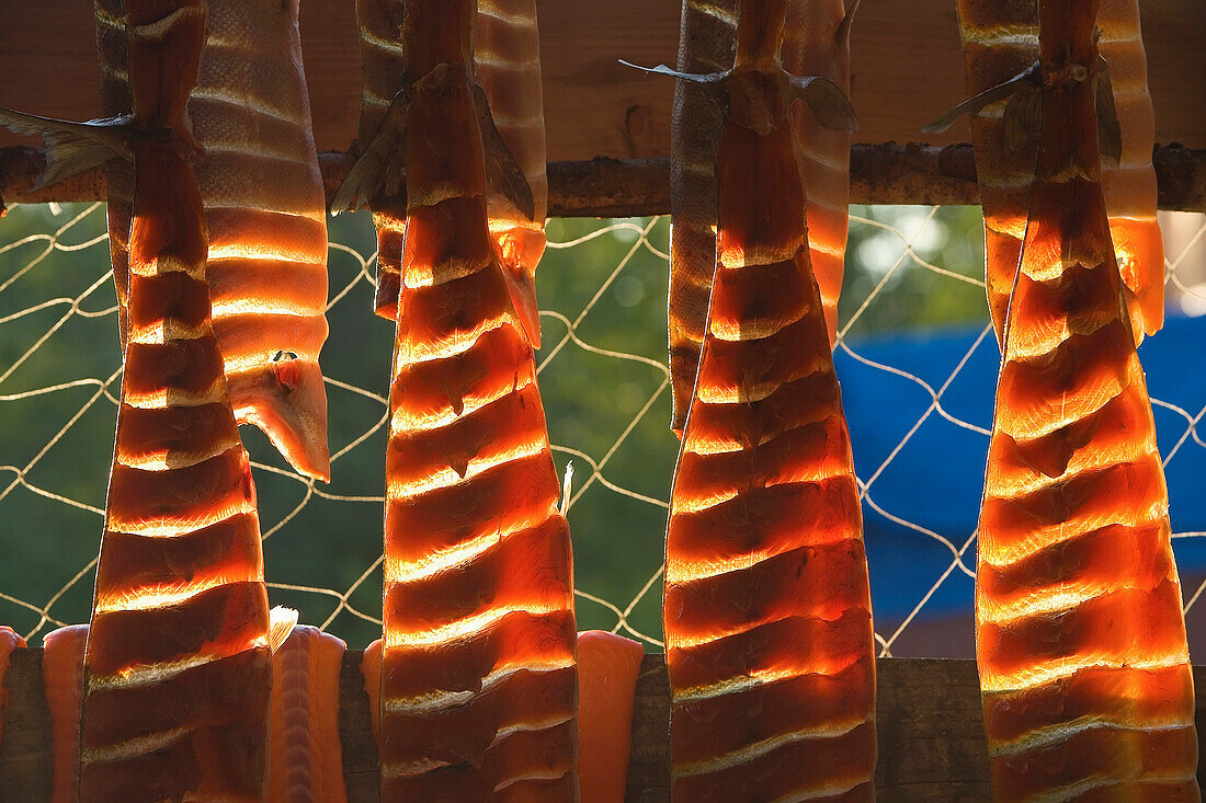 Traditionally Prepared Salmon Strips Hanging On Drying Rack W/Fishing Net Background Alaska Backlit
