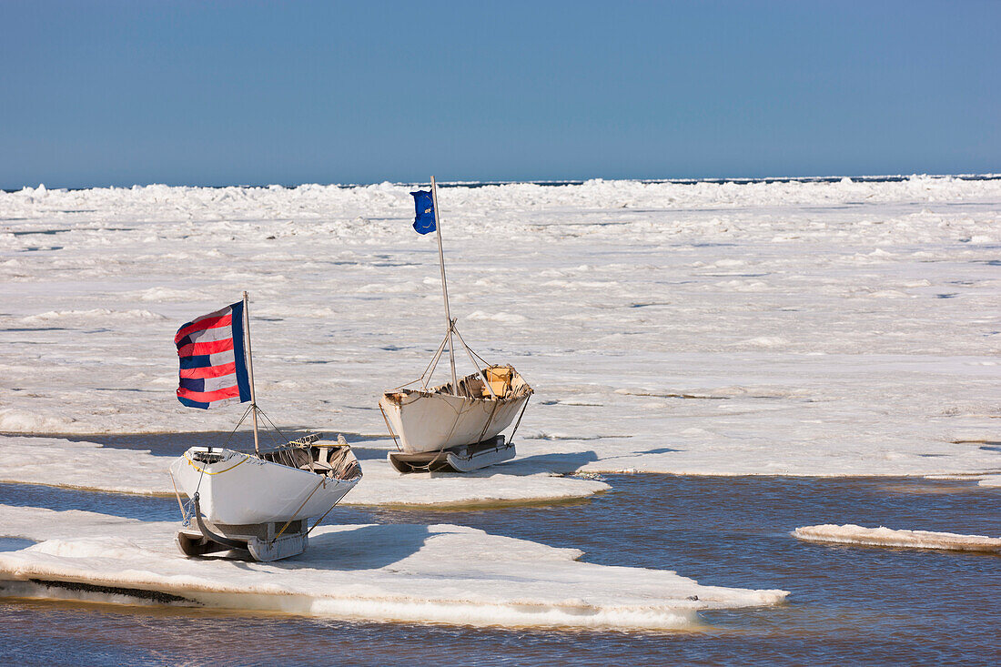 Two Inupiaq Eskimo Skin Boats (Umiaqs)On Ice Have Flags Raised As Part Of The Apugauti Celebration, Chukchi Sea Apugauti, Barrow, Arctic Alaska, Summer