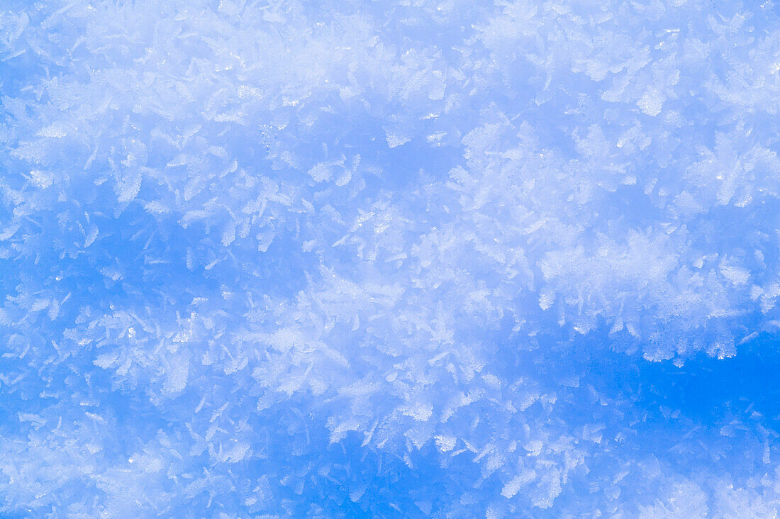 Close Up Of Ice Crystals Alaska Winter