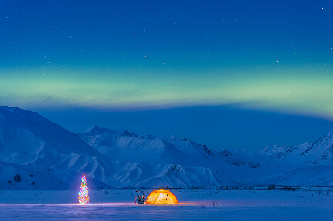 'Northern Lights Glow In The Sky Above A Backpacking Tent And Lit Christmas Tree At Twilight Alaska Range In The Distance In Winter Isabel Pass Richardson Highway Interior Alaska; Anchorage Alaska United States Of America'