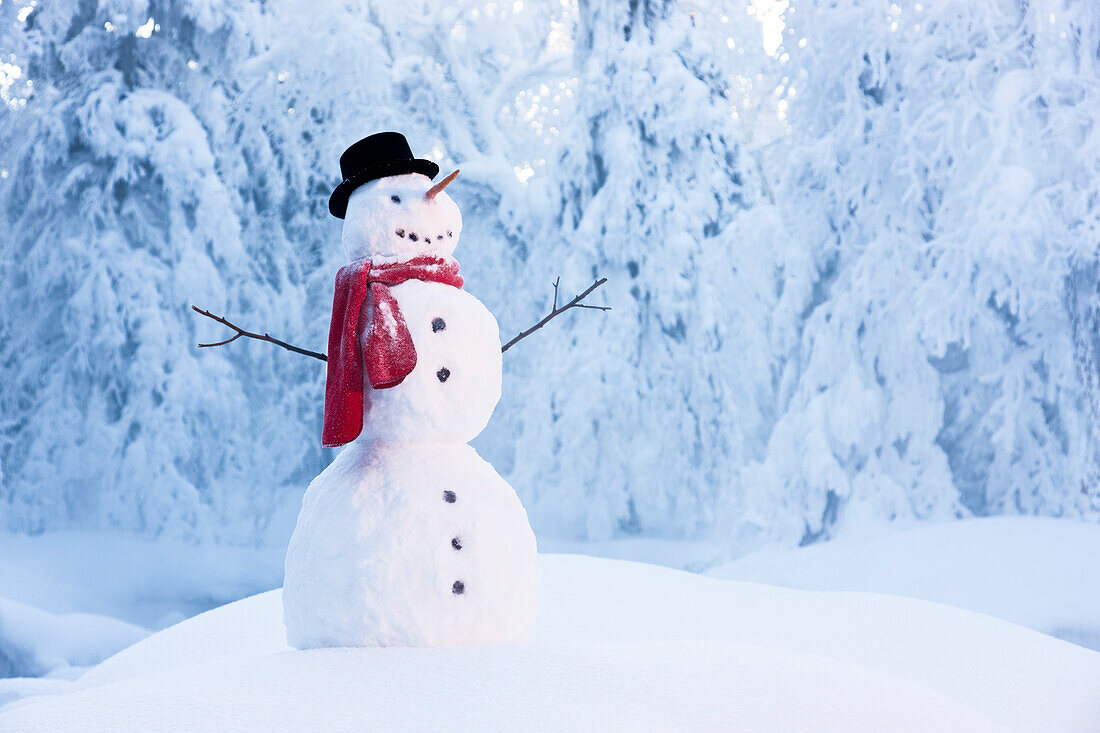 'Snowman in red scarf and black top hat standing amongst hoar frosted trees in russian jack springs park; anchorage alaska united states of america'