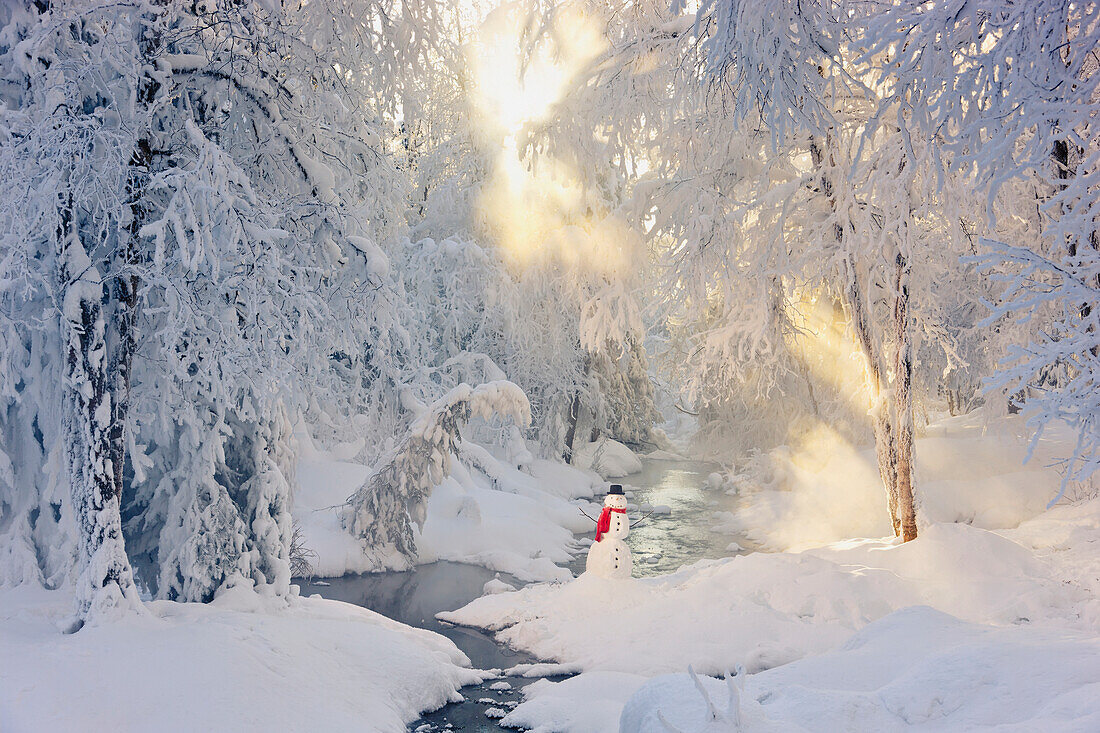 'A snowman wearing a red scarf and black top hat standing in the snow next to a small stream in a hoar frost covered forest rays of sun filtering through the fog in the background russian jack park; anchorage alaska united states of america'