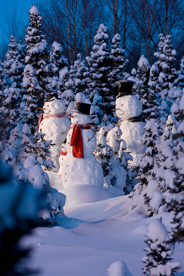 'Snowman family wearing scarves and black top hats standing in front of a snowcovered spruce forest at dusk;Anchorage alaska usa'
