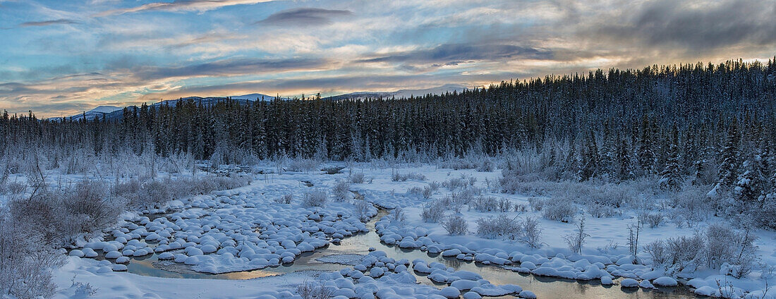 'Panoramic Of Mcintyre Creek At Sunrise;Whitehorse Yukon Canada'