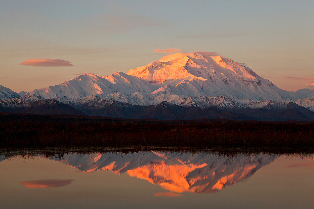 Alpenglow on Mt. McKinley, also known as Denali, reflected in tundra pond at sunrise, Fall, Denali National Park, Interior Alaska, USA.