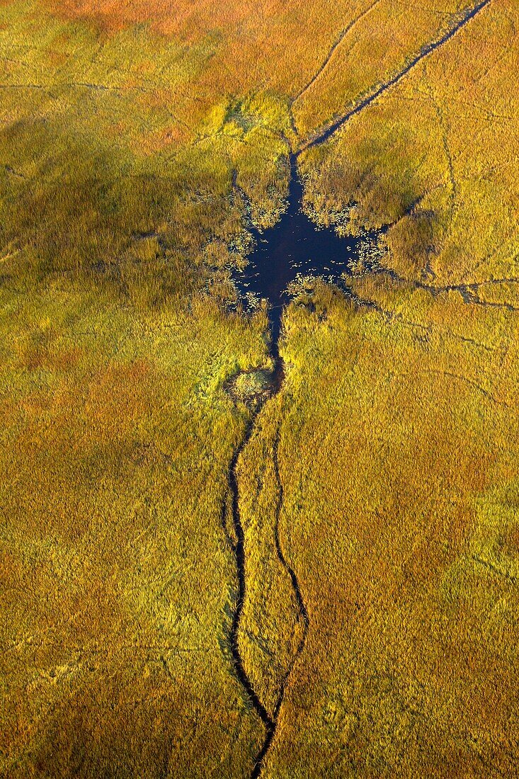 Aerial View of the Okawango Delta, Botswana