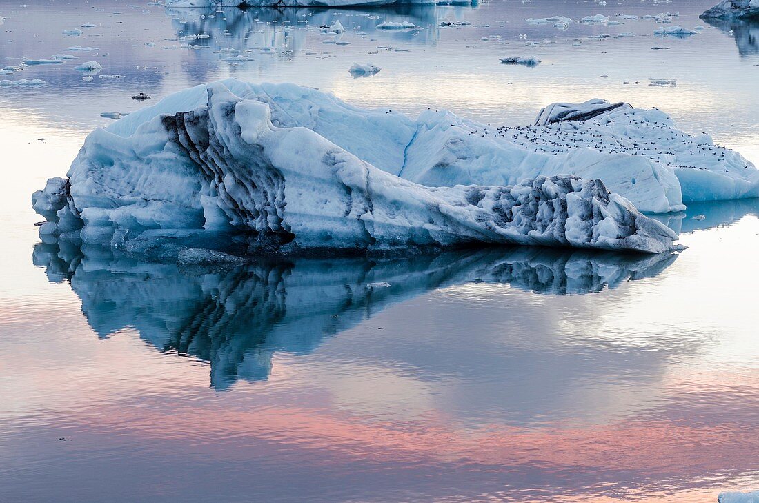 Jökulsarlón glacial lagoon  Iceland