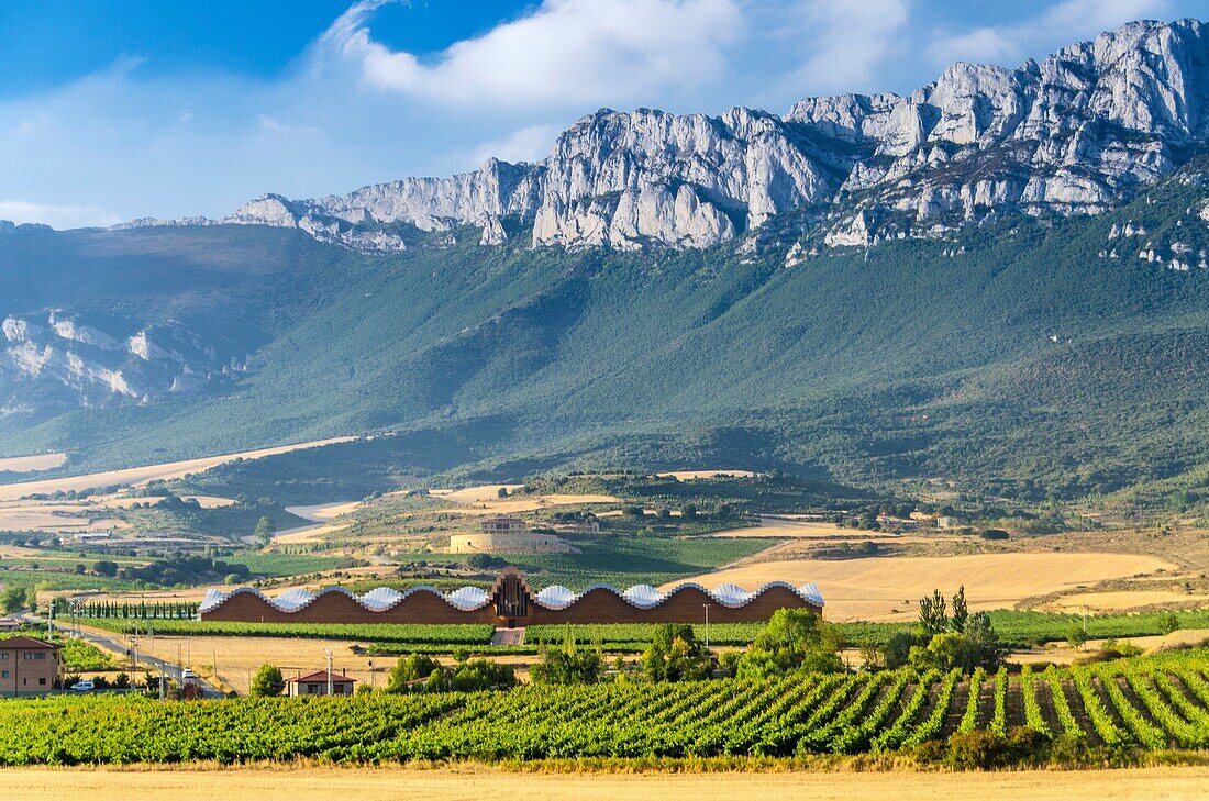 Emblematic Ysios winery in Laguardia designed by Santiago Calatrava, La Rioja, Alava, Basque Country, Spain