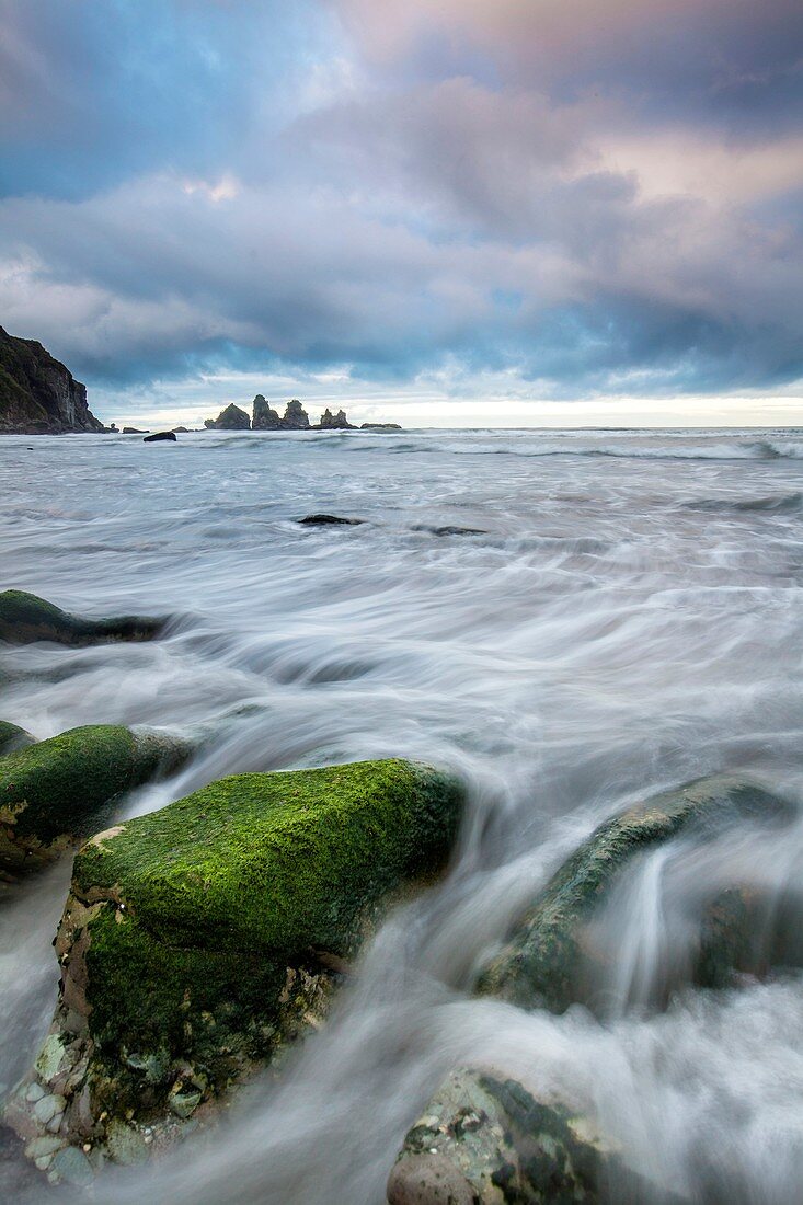 Incoming tide flows through algae covered boulders, dawn, Paparoa National Park, West Coast, New Zealand