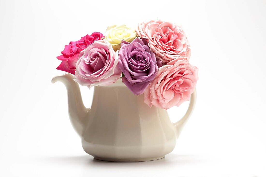 White Teapot with Roses