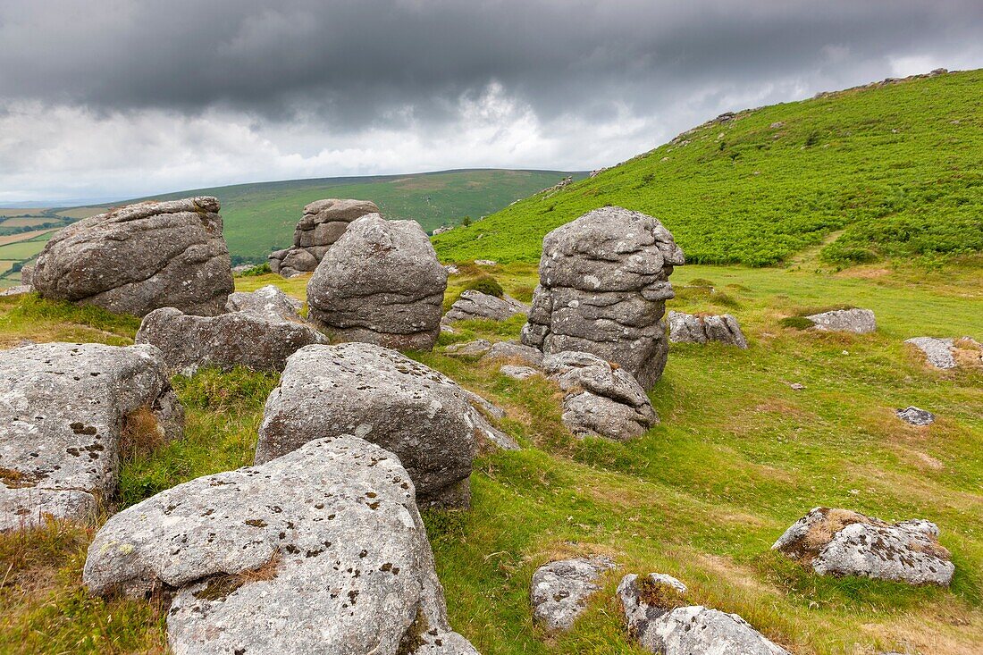 Rocks between Chinkwell Tor and Bell Tor in the Dartmoor National Park, near Widecombe in the Moor, Devon, England, UK, Europe