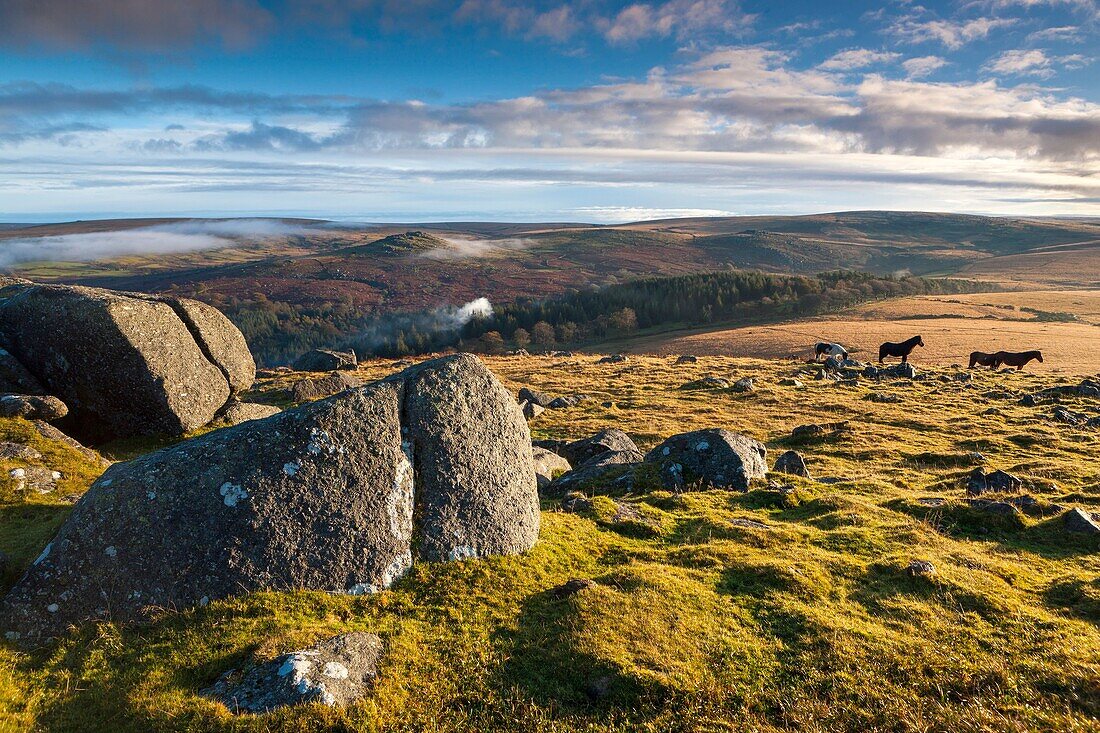 Sheeps Tor in the Dartmoor National Park, Devon, England, UK, Europe