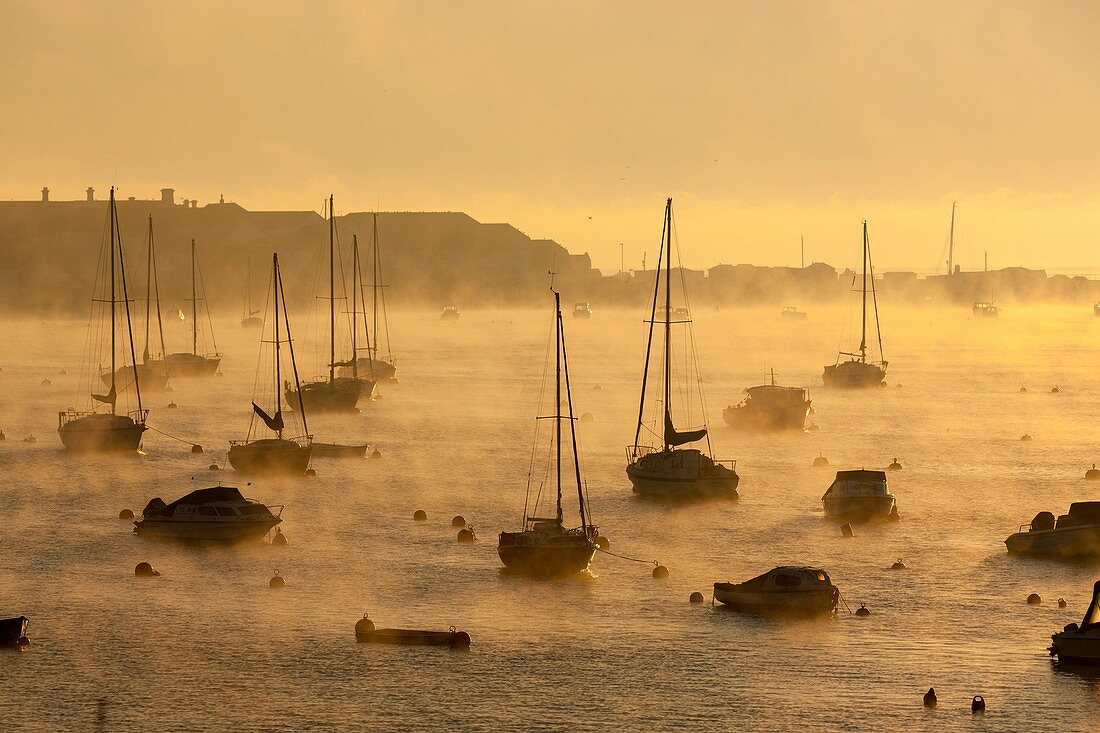 Boats moored on the Teign estuary in Teignmouth, South Devon, England, UK, Europe