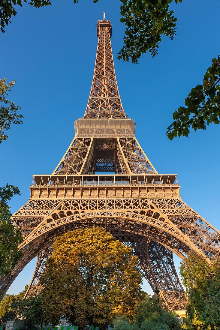 The Eiffel Tower at afternoon, Paris, France, Europe