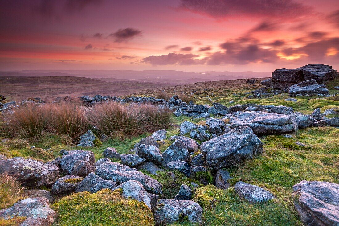 Rippon Tor in the Dartmoor National Park near Widecombe in the Moor, Devon, England, UK, Europe