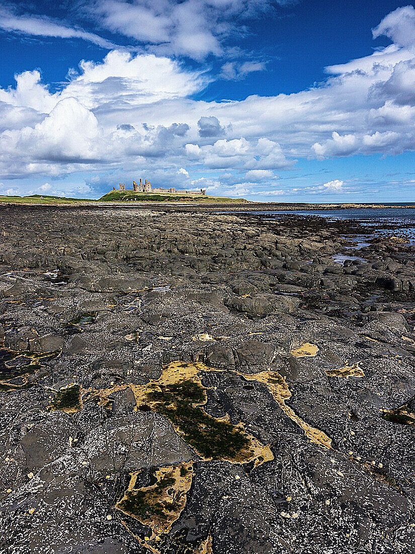 England, Northumberland, Dunstanburgh Castle  Dunstanburgh Castle and surrounding coastline at low tide