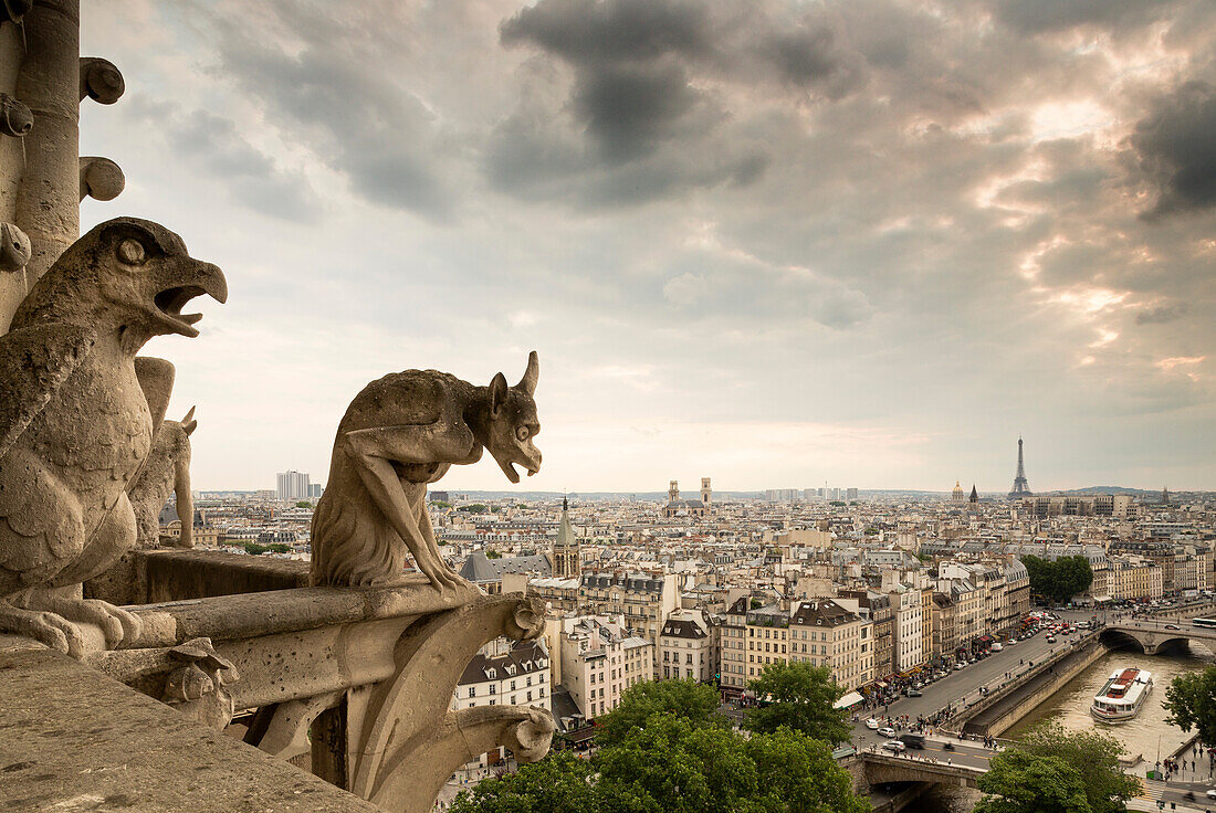 Blick von der Cathédrale Notre-Dame de Paris auf die Seine und Paris, im Hintergrund Eiffelturm, Paris, Frankreich, Europa, UNESCO Welterbe (Seineufer zwischen Pont de Sully und Pont d'Iéna)