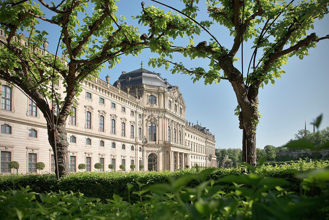 Trees in the royal gardens with view of the Residenz, baroque era, Wuerzburg, Franconia, Bavaria, Germany, UNESCO