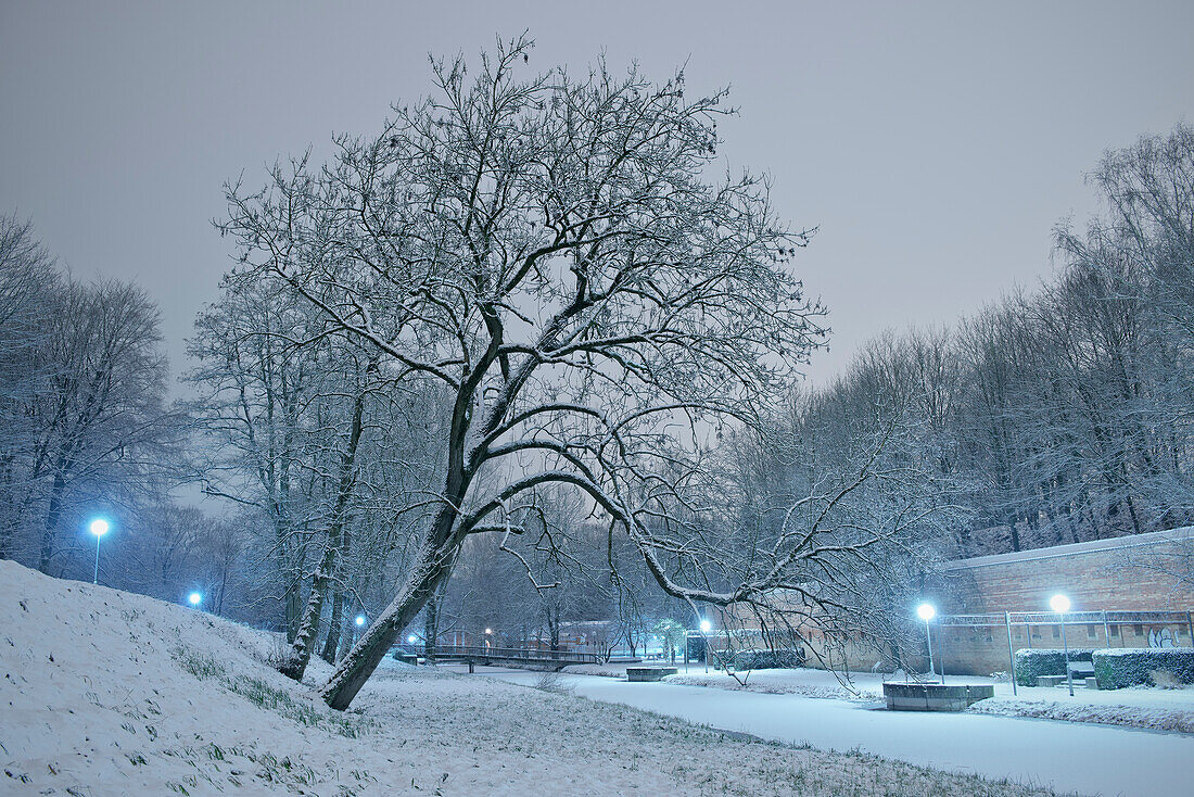 Schnee bedeckt Bäume und Kanal im Glacis Park bei Nacht, Neu-Ulm, Bayern, Deutschland