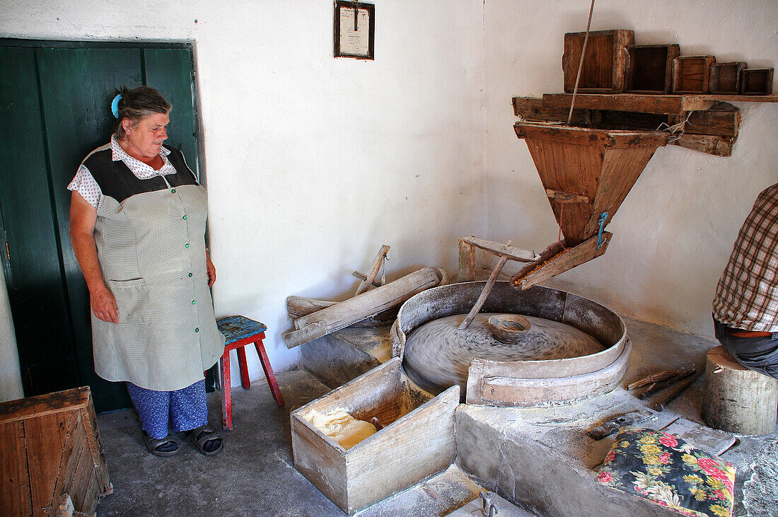 Mill near Fajazinha, West coast, Island of Flores, Azores, Portugal