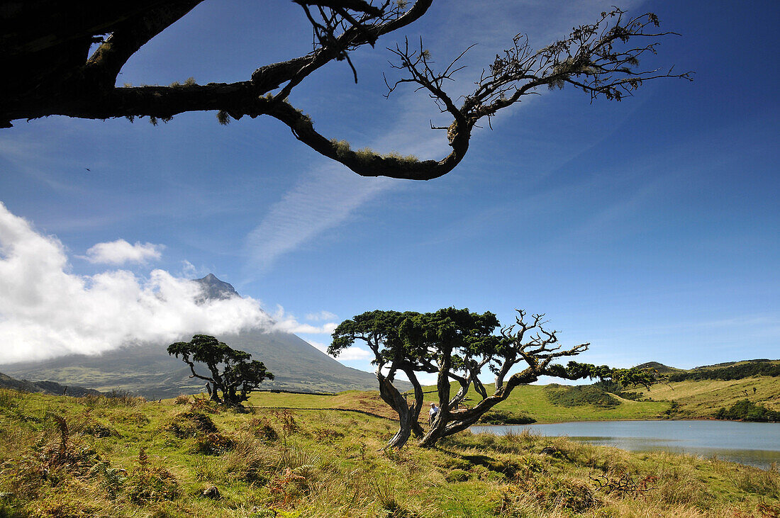 Am do Capitao See unter dem Vulkan Pico, Ponta do Pico, Insel Pico, Azoren, Portugal