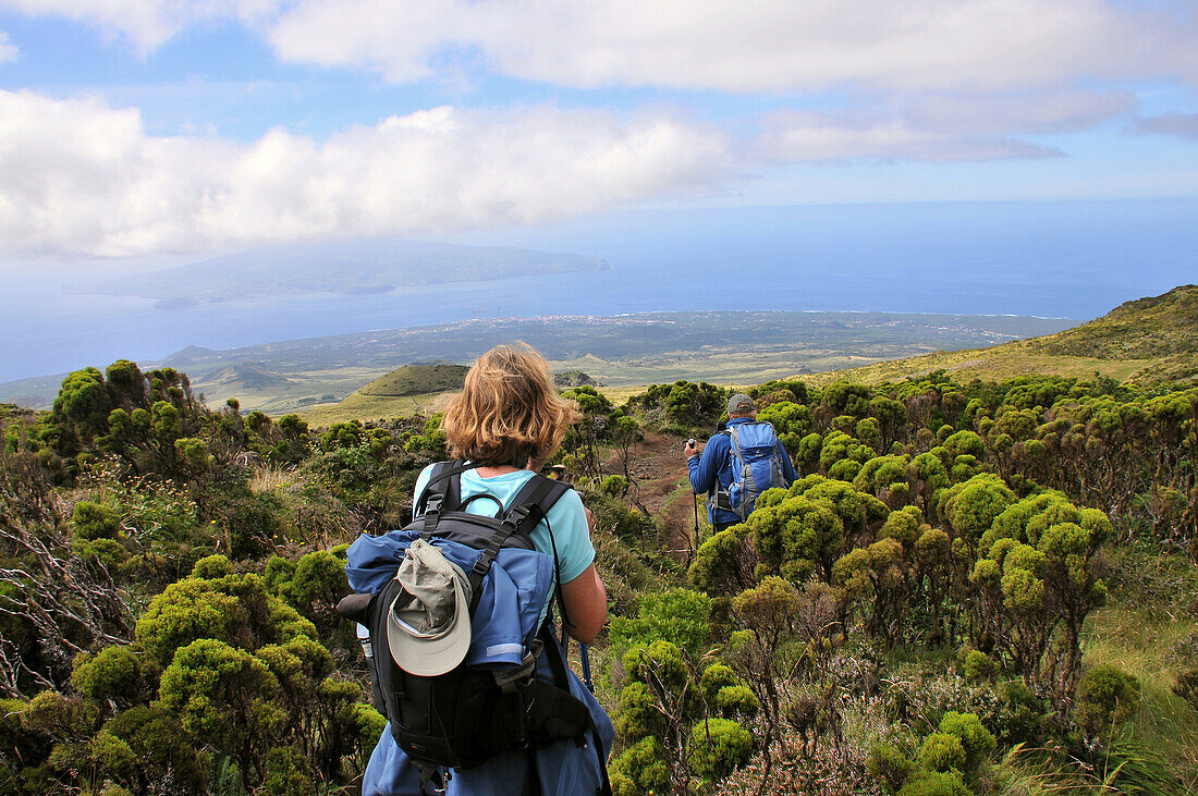 Hiken unter dem Vulkan, Ponta do Pico, Insel Pico, Azoren, Portugal