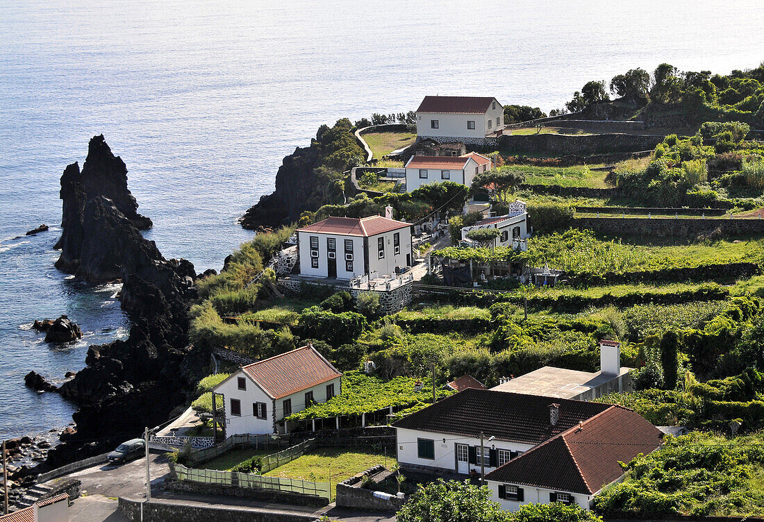 Ferienhäuser in Faja do Ouvidor, Nordküste, Insel Sao Jorge, Azoren, Portugal