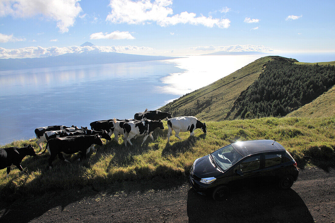 Im Hochland mit Blick auf Pico u. Faial, Insel Sao Jorge, Azoren, Portugal