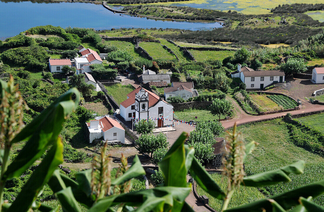 Faja dos Cubres, Nordküste, Insel Sao Jorge, Azoren, Portugal