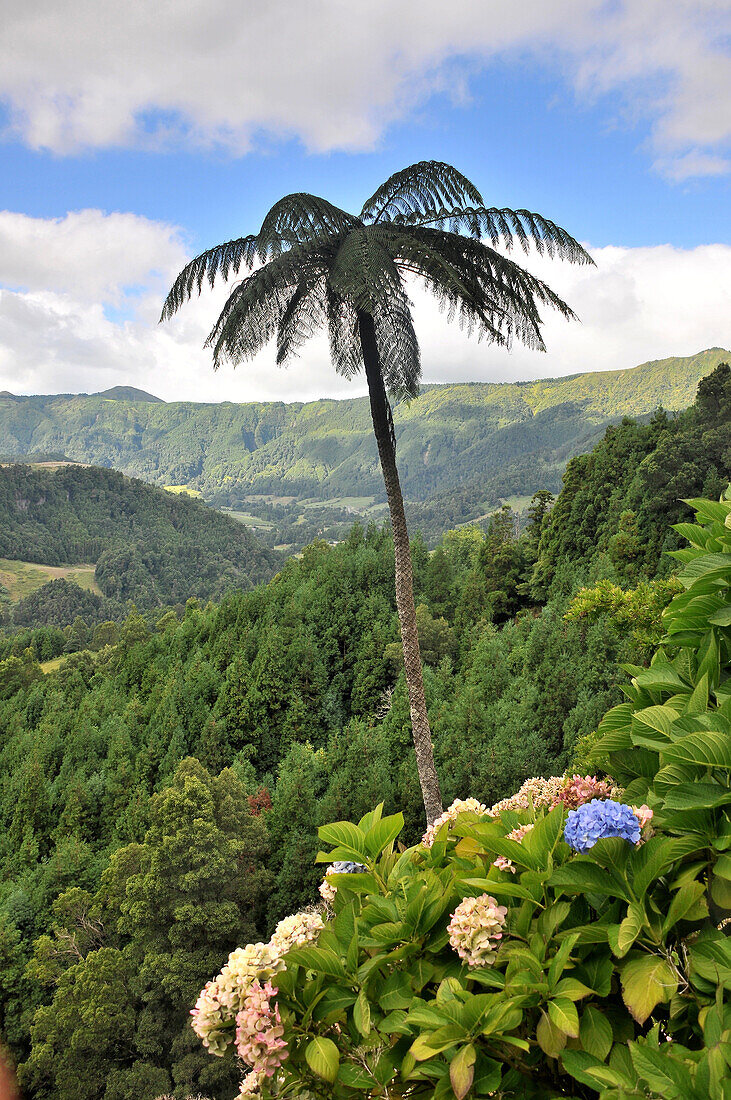 View into the valley of Furnas, Island of Sao Miguel, Azores, Portugal
