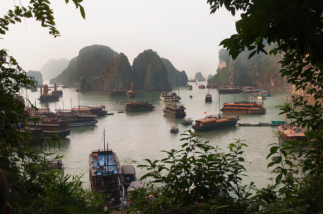 Alex, Adams, nobody, Outdoors, Day, Nature, Transportation, Physical Geography, Landscape, Geology, Peak, Mountain, Tree, Idyllic, Tranquility, Scenics, Beauty In Nature, Sea, Rowing Boat, Barge, Tourism, Travel Destinations, Halong Bay, Vietnam, Bay, Nob