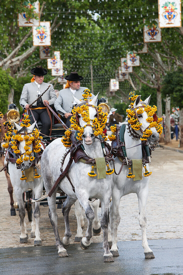 Paul, Quayle, Outdoors, Day, Full Length, Sitting, Incidental People, Men, Two People, Two Animals, Animal Themes, Working Animals, Street, Tree, Travel Destinations, Traditional Culture, Ornate, Traditional Clothing, Traditional Festival, Spain, Andaluci