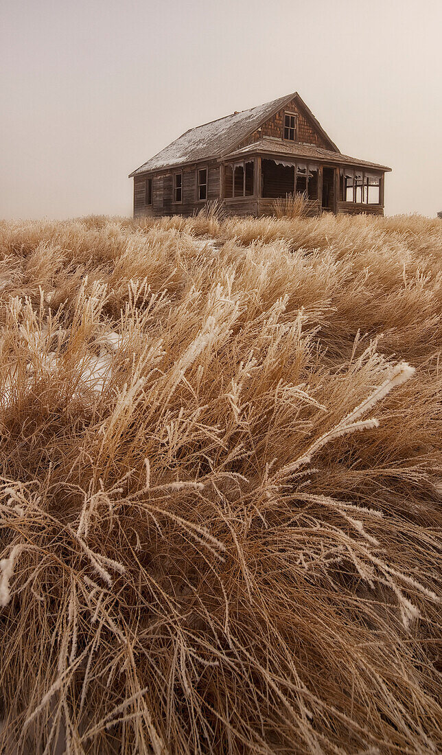 Old Abandoned Homestead In The Prairies, Saskatchewan Canada