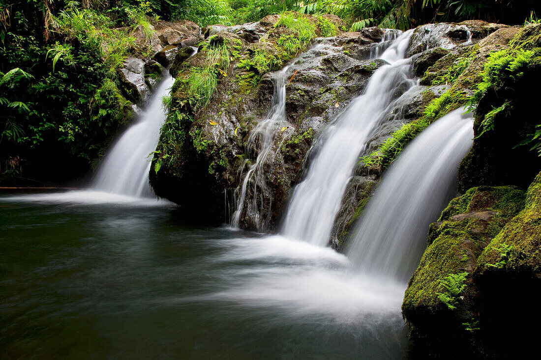 Hawaii, Maui, Kipahulu, Hahalawe Falls in lush Kipahulu