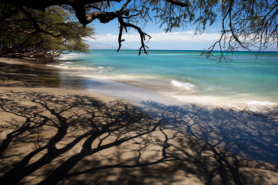 Hawaii, Maui, Olowalu, Gray sand beach with shadows of tree branches.