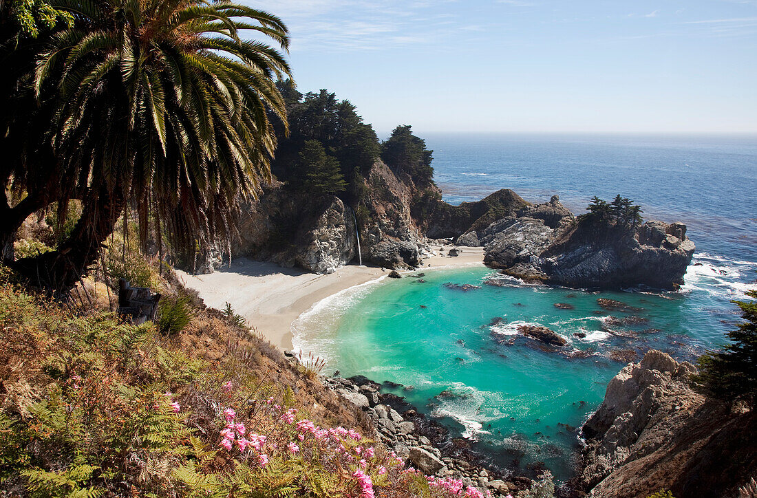 California, Big Sur, Julia Pfeiffer Burns State Park, View of McWay Falls, Lush foliage in foreground.