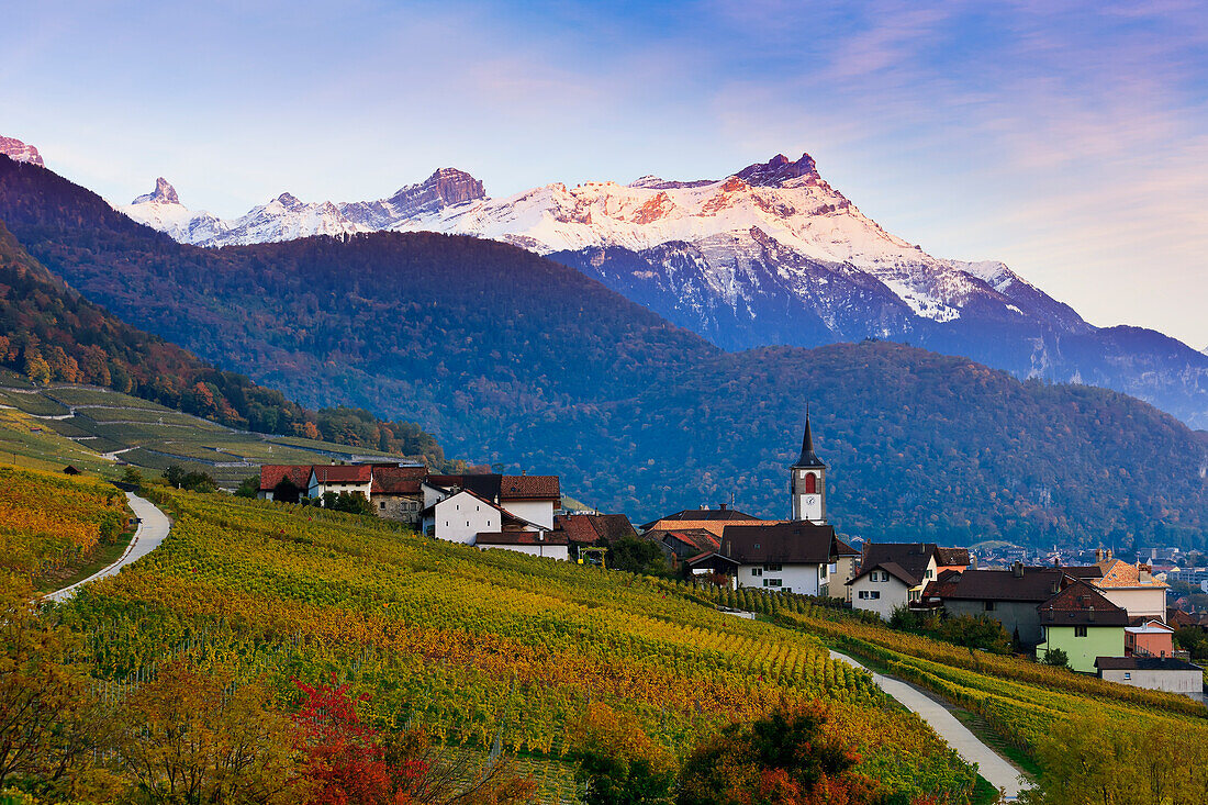 Vineyards, Yvorne, Switzerland