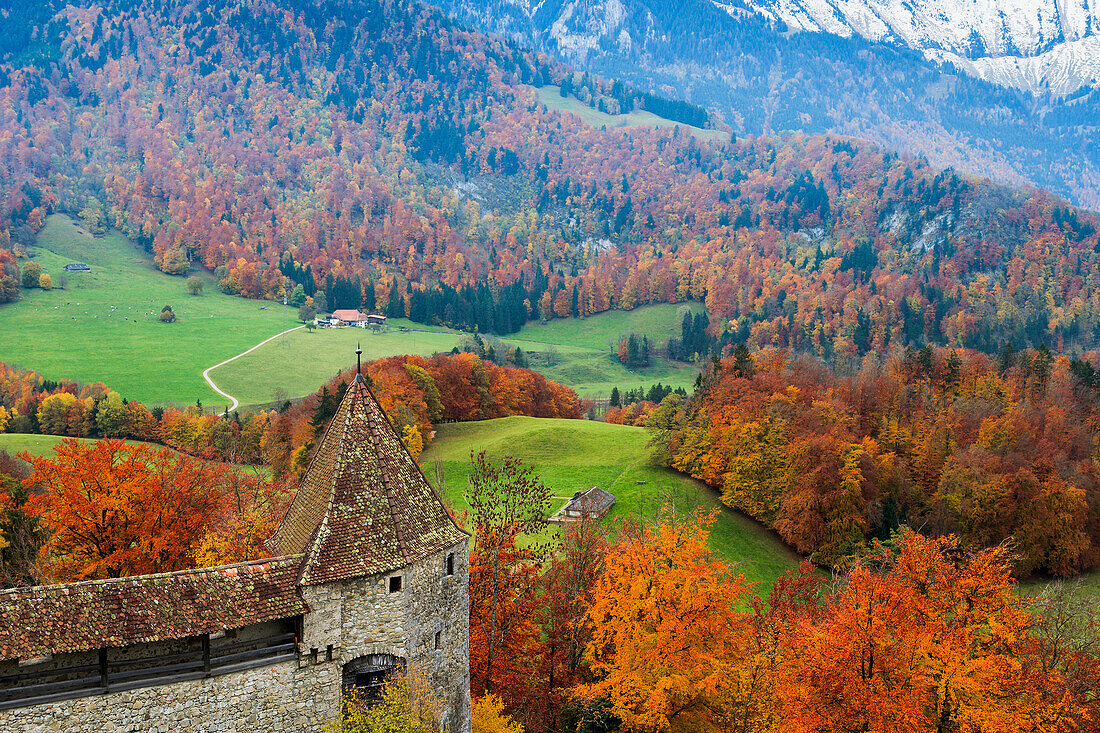 Autumn landscape, Gruyeres, Switzerland
