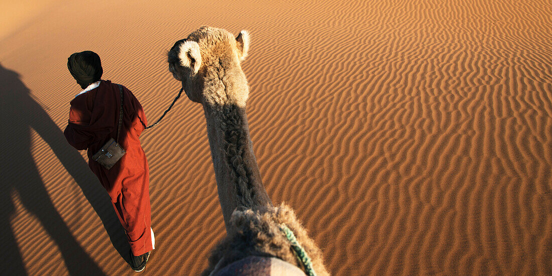 A man leads his camel over the Erg Chegaga Dunes, Morocco