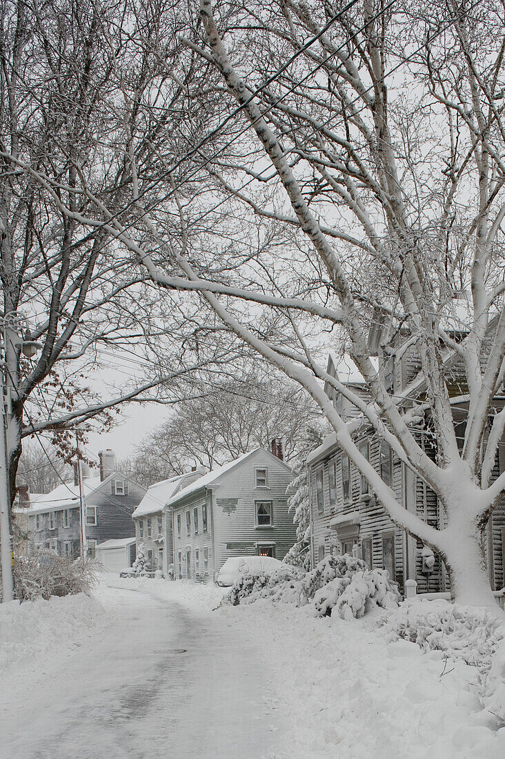 Snowy Residential Street, Marblehead, Massachusetts, USA