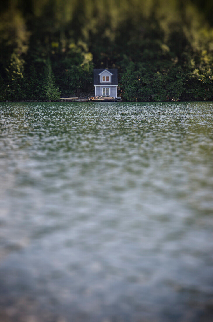 Small Cottage Among Trees in Distance on Shore of Lake
