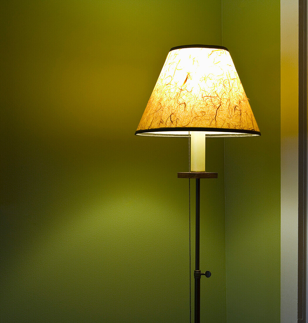 Illuminated Floor Lamp with Shade