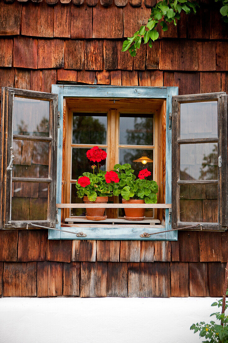 Window with geraniums of a wooden house, Styria, Austria